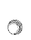 Council