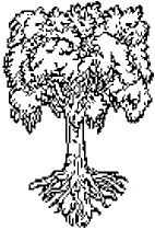 one white tree